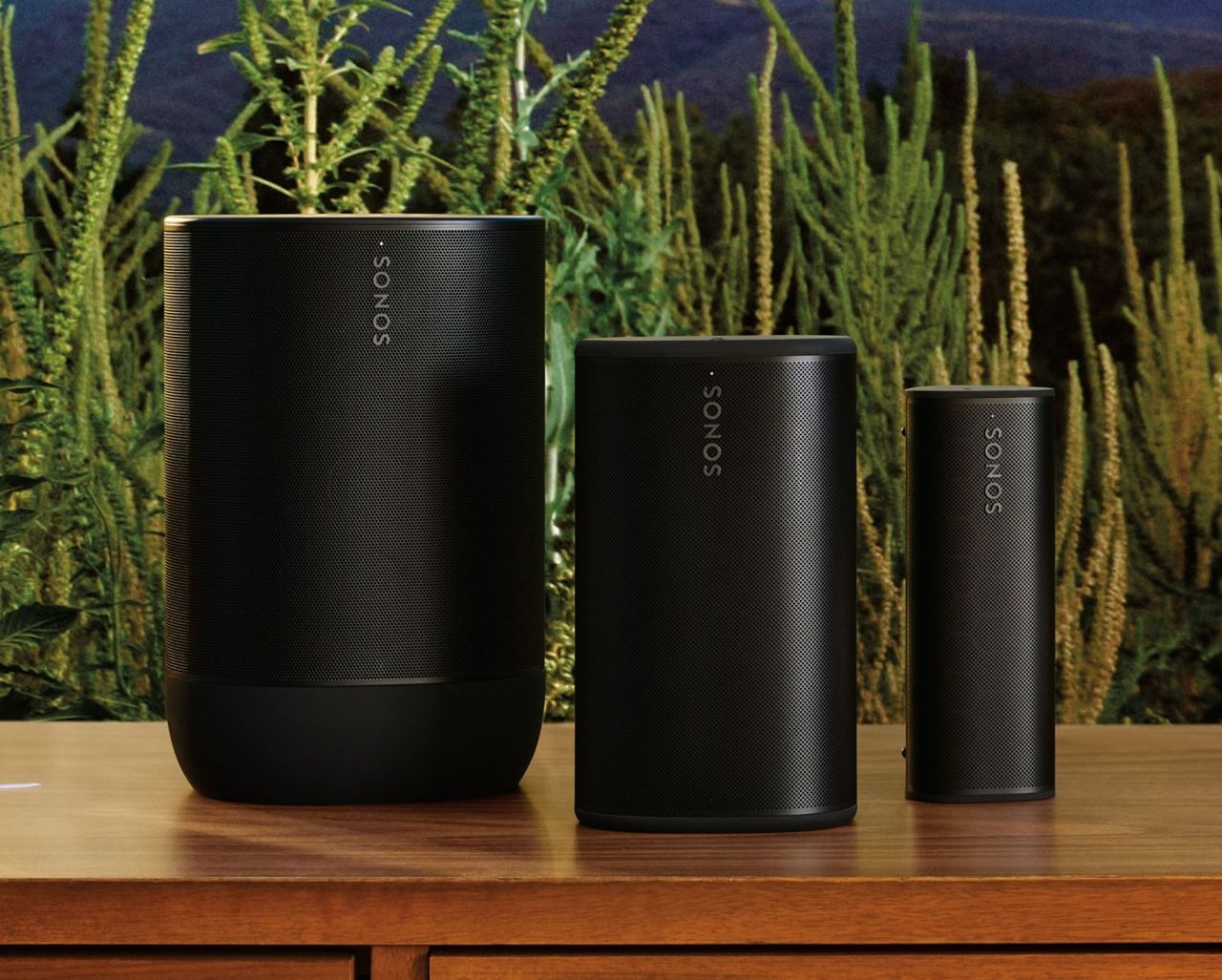 Sonos Move, Play & Roam